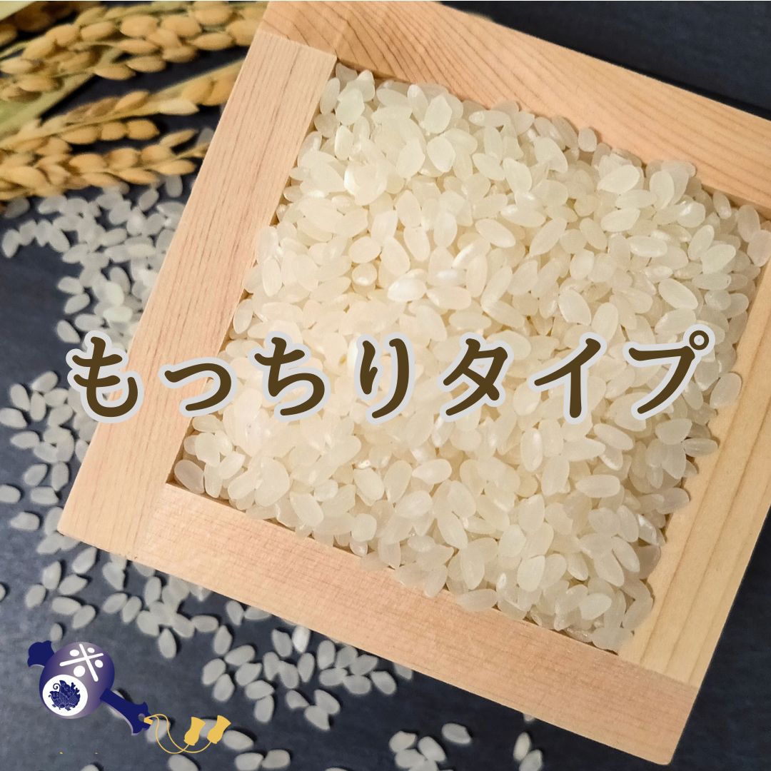 もっちりタイプ